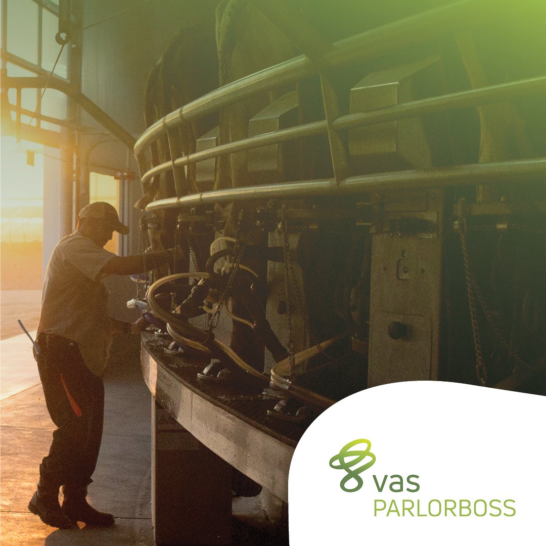 VAS equipment, man milking cows