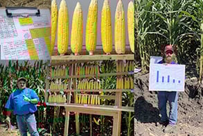 Scenes from Corn College