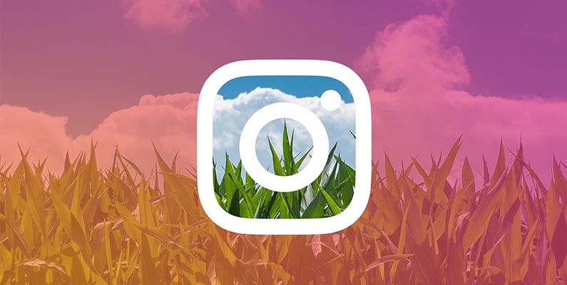 Importance of Instagram Influencers