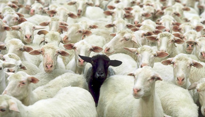 Make your brand stand out when marketing to farmers