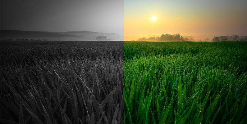 photography tips for marketing to farmers