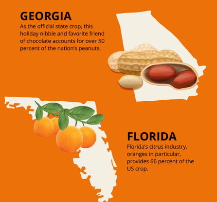 The Birth of the bounty: where do our Thanksgiving dishes come from?
