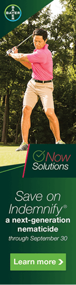 Now_Solutions_Digital_1