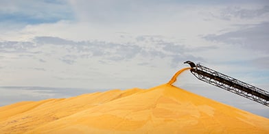 Material Handling Equipment